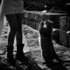 workshop fotografie nunta grecia 2
