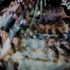 mauricio arias weddcamp 2020 14